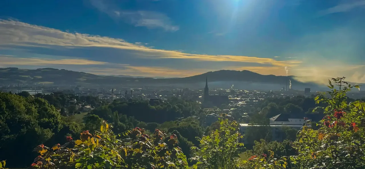 Linz Freinberg Renovus